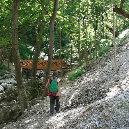 Base For Adventurers - Urban Guerrilla Guest house 2*