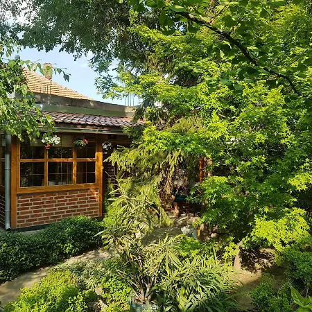 招待所 Base For Adventurers - Urban Guerrilla 讷贡汀